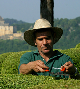 Gardening Services Costa Blanca